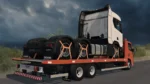 VW Delivery Modwork - Imagem 4